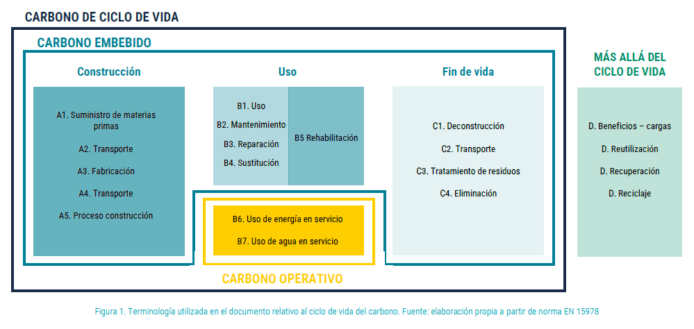 Carbono de ciclo de vida