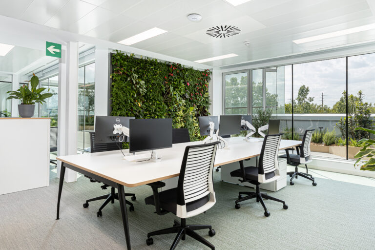 oficinas sostenibles construcción circular